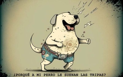 A mi perro le suenan las tripas