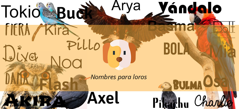 nombres para loros