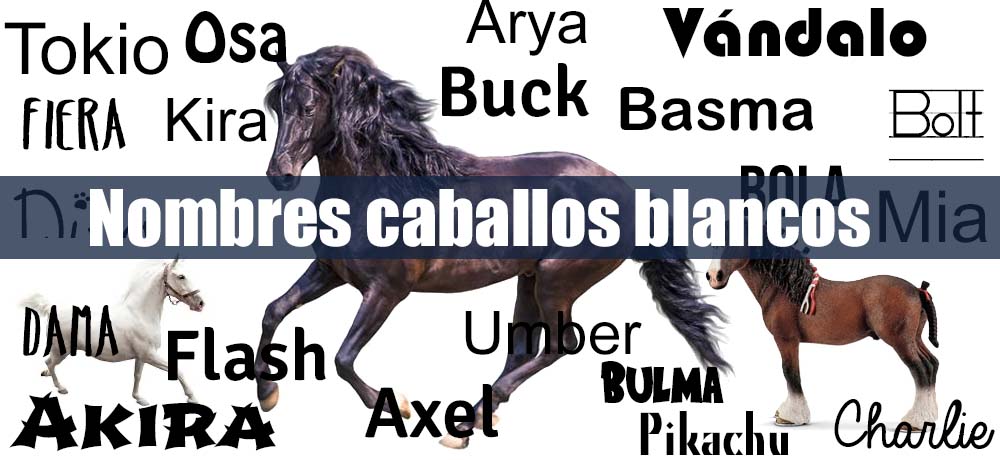 Nombres para caballos blancos
